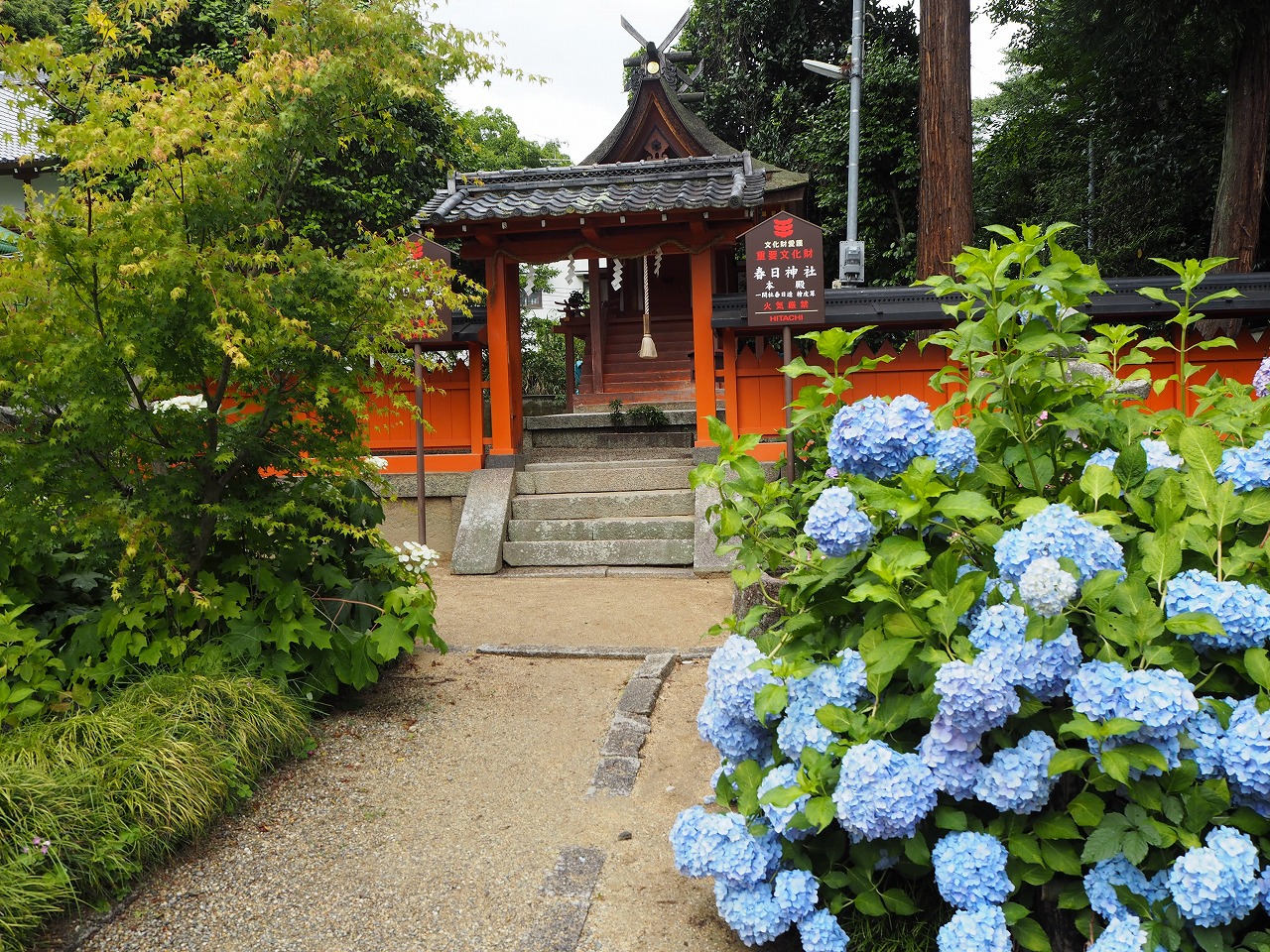 金剛山寺（矢田寺）金剛山寺（矢田寺） - 山紫水明の日本